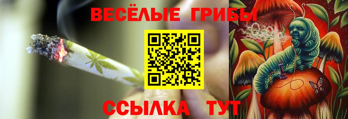 Псилоцибиновые грибы мухоморы  Вход с VPN  Ртищево 