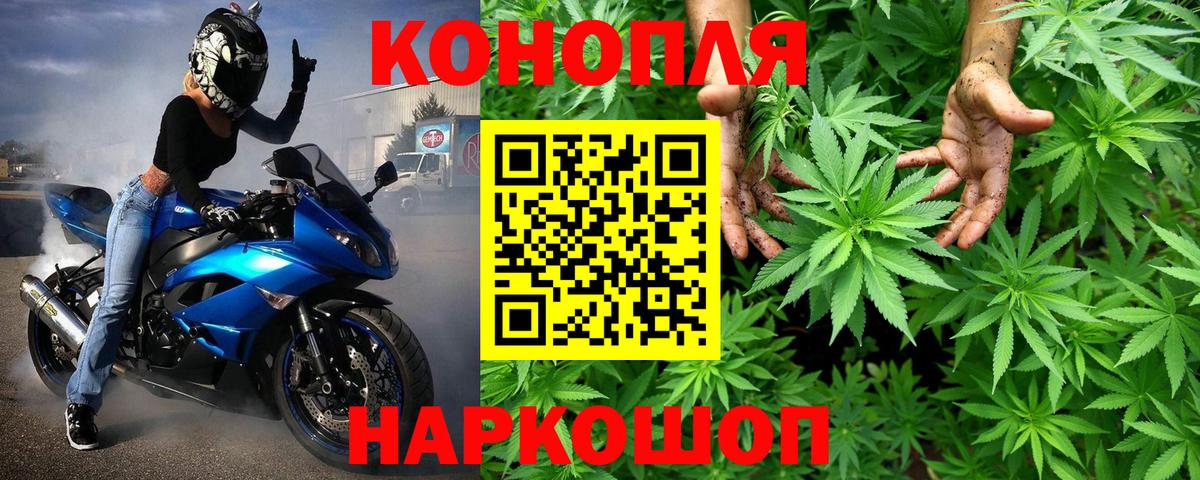 Бошки марихуана VHQ Ртищево